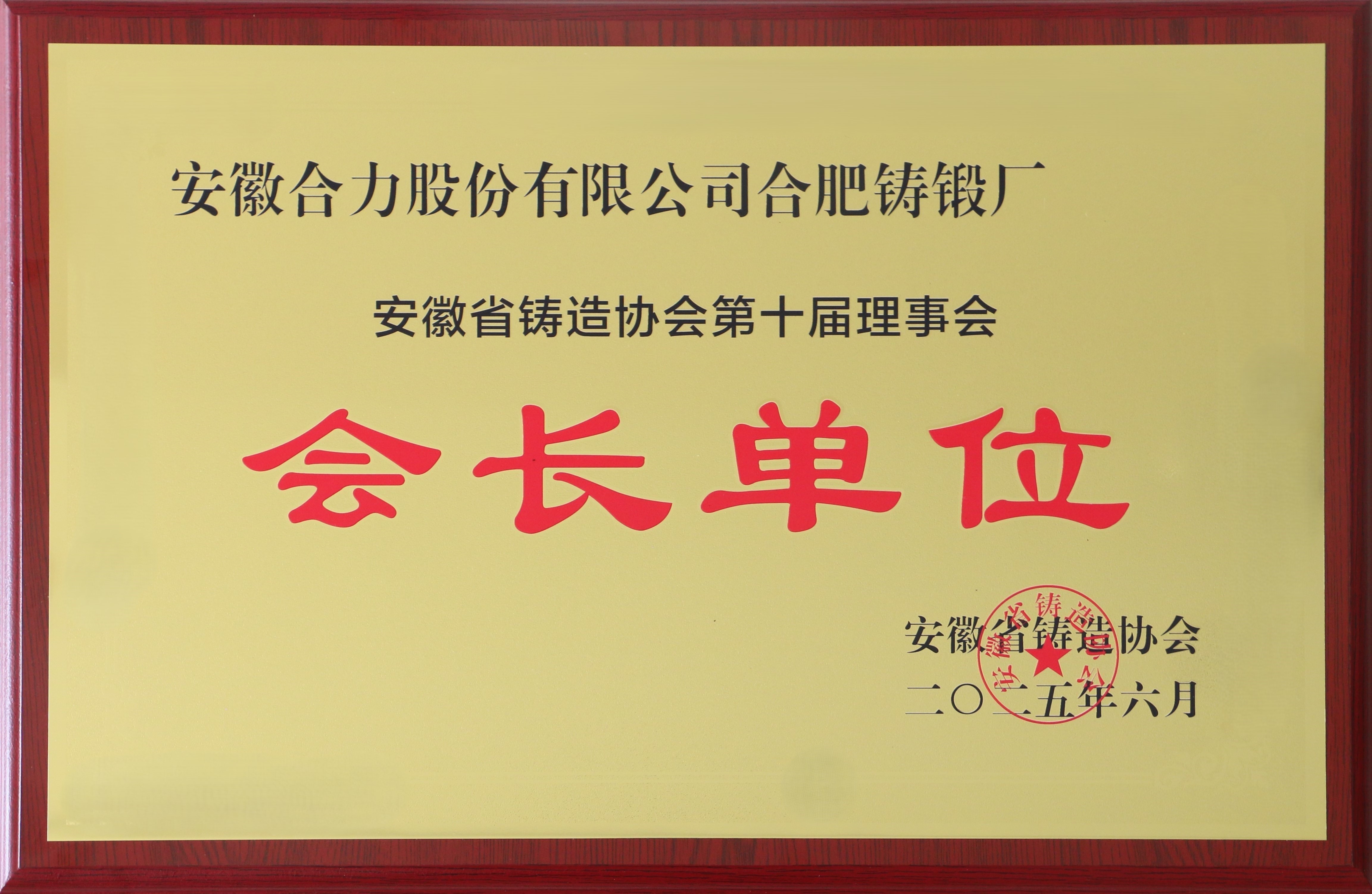 安徽省铸造协会第十届会长单元.jpg