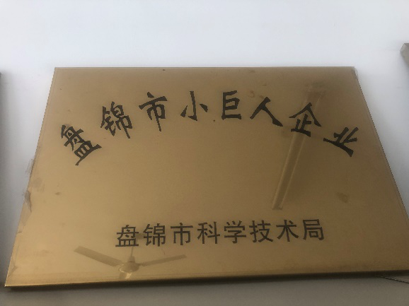 盘锦市幼巨人企业奖牌.png