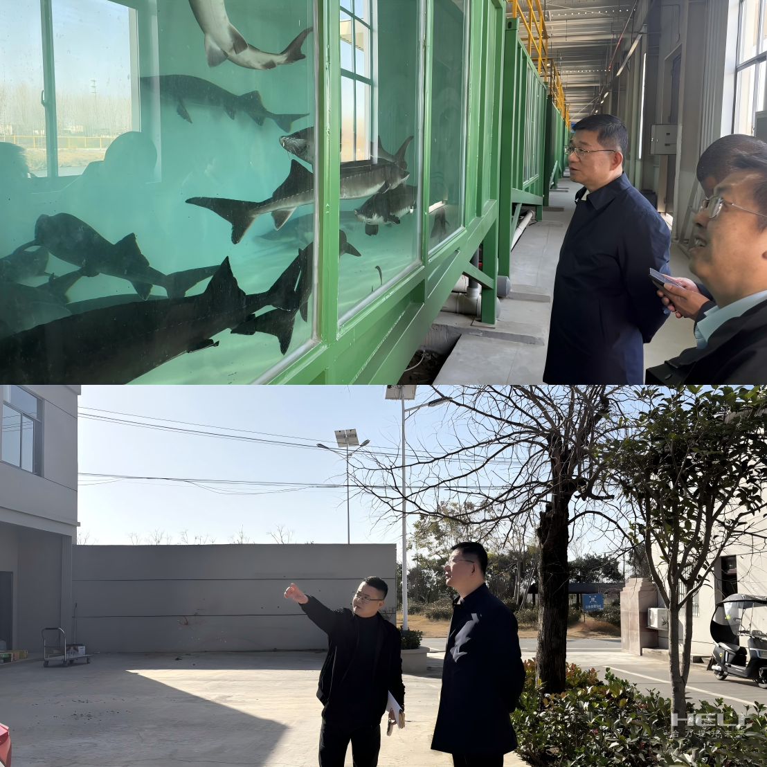调延装智慧渔场”及社区集体经济发展.png